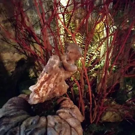 Le Relais De Saint Jacques Frühstückspension