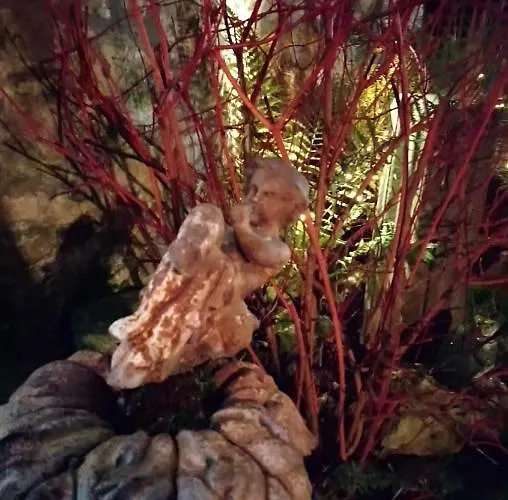 Le Relais De Saint Jacques לינה וארוחת בוקר